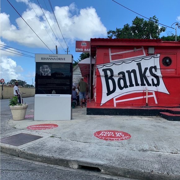 Meet your Posher, Marley - Picture 4 of 11